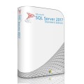 Microsoft SQL Server 2017 DVD Standard with 8 Core License, unlimited User CALs