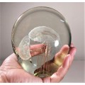 JELLEYFISH ART GLASS PAPERWEIGHT - SKILLFULLY HANDMADE