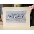 HERD OF ELEPHANTS 1980 ORIGINAL WATERCOLOUR  BY MH CILLIERS (SA ARTIST)