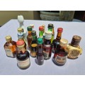 COLLECTION OF SEVENTEEN (17) MINIATURE LIQUOR BOTTLES (MOST ARE FULL, SOME 75% FULL)