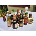 COLLECTION OF SEVENTEEN (17) MINIATURE LIQUOR BOTTLES (MOST ARE FULL, SOME 75% FULL)