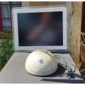 ICONIC APPLE G4 BALL IMAC FROM 2003 IN GOOD WORKING CONDITION