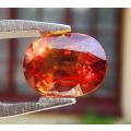 VIVID ORANGE GISA CERTIFIED 2,32CT SAPPHIRE GEMSTONE WITH LOVELY OVAL CUT  UV RED!  THERMAL HIGH