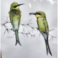 Renowned SA Artist Jill Adams (1932-2016) Swallow Tailed Bee-Eater Original Coloured Pencil Drawing