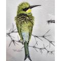 Renowned SA Artist Jill Adams (1932-2016) Swallow Tailed Bee-Eater Original Coloured Pencil Drawing