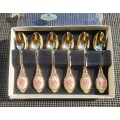 Lady Diana Princess of Wales Rose Enamelled Teaspoon Set of 6 Gold Plated Stainless Steel Japan