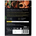 The Private Life of Plants 2 DVD Set