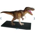 Science Educational T-Rex Dinosaur Skeleton Animal Anatomy