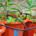 Micro Drip Irrigation System Plant Watering Garden Hose Tool 20M DIY