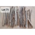Driftwood Logs and Pieces Lot 71