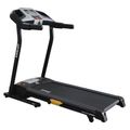 Everlast 2025 inferno treadmill