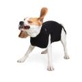 Suitical Recovery Suit for Dogs - S