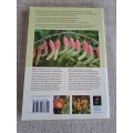 Guide to Succulents of Southern Africa - Gideon F. Smith & Neil R. Crouch