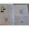 Southern African Spiders An Identification Guide - Martin R. Filmer