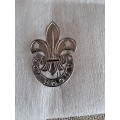 Boy Scouts Badge and Toggle