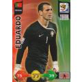 FIFA  2010 World Cup Adrenalyn XL - Portugal 8 cards