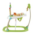 Fisher-Price Rainforest Friends Spacesaver Jumperoo