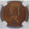 1953 SA 1/2 Penny * NGC PF65RB