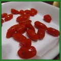 Goji Berry, Wolf Berry - Lycium chinense - 20 Seed Pack - Exotic Edible Fruit Shrub