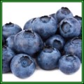 Highbush Blueberry - Vaccinium corymbosum - 50 Seed Pack - Edible Fruit - Shrub - New