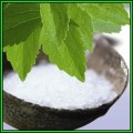 Stevia rebaudiana - Organic Non GMO - 20 Seed Pack, 300 X Sweeter than Sugar, NEW