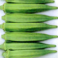 20 Okra Vegetable Seeds - Abelmoschus esculentus Seeds