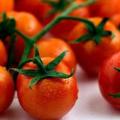 Cherry Tomato Vegetable Seeds ~ Solanum lycopersicum var. cerasiforme Seeds - Combined Shipping