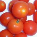 10+ Cherry Tomato Vegetable Seeds ~ Solanum lycopersicum var. cerasiforme Seeds - Combined Shipping