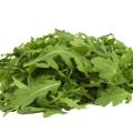 100+ Rocket Seeds - Eruca sativa Seeds - Culinary Herb Seeds For Sale in South Africa