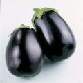 Eggplant Black Beauty Brinjal Seeds - Solanum melongena - Vegetable Seeds