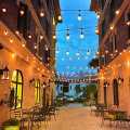 Exquisite 5M Waterproof Led Bulb String Lights Outdoor Street Garden Holiday String Lights