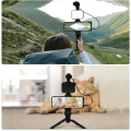 Convenient Ay-49 Tripod Kit With Microphone And Live Lighting For Video Vlog Production