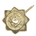 SA Police womans collar and tie badge