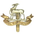 Royal Warwickshire regiment cap badge with slide