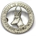 WW2 SA Union Defence Force general service cap badge