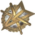 French army fitness and sport award pocket badge