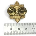 SA Police pair of collar badges