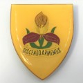 SADF Military academy shoulder flash
