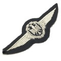West German Air Force pilot wings - 2nd class