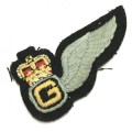 QE2 Royal Air Force Gunner Wing