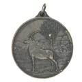 Southern Rhodesia occupation of Matabeleland 40th anniversary medallion 1893 - 1933