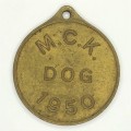 1950 Municipality Central Karoo dog license - number 816