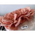 Pink Oyster Mushroom grow kit (5L/2.5kg)