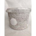 Oyster Mushroom Variety pack grow kits (3x1L)