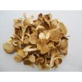 Dried White Oyster 50g (equivalent to 500g fresh)