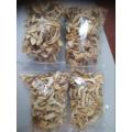 Dried White Oyster 50g (equivalent to 500g fresh)