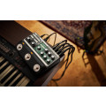 BOSS RE-202 FLAGSHIP SPACE ECHO PEDAL WITH PRESETS, MIDI AND ADDITIONAL PARAMETER CONTROL