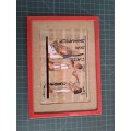 Egyptian papyrus framed