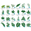 TROPICAL LEAVES  SVG FILES FOR CRICUT