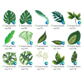 TROPICAL LEAVES  SVG FILES FOR CRICUT